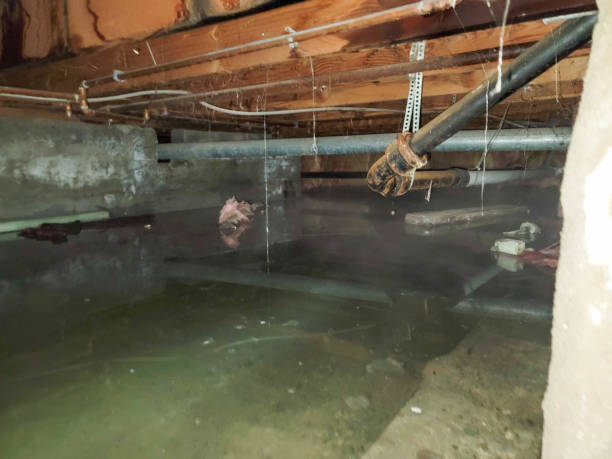 Best 24/7 water damage repair  in Ke Providence, LA