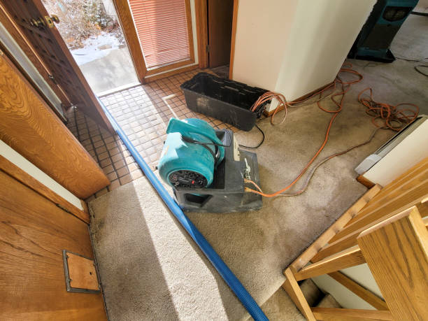 Best 24-hour water damage restoration  in Ke Providence, LA