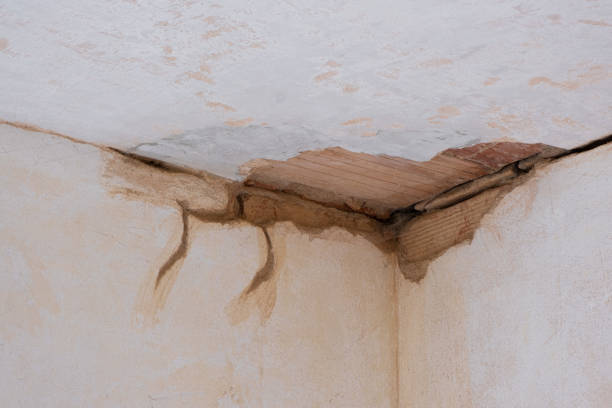 Best Local water damage restoration  in Ke Providence, LA