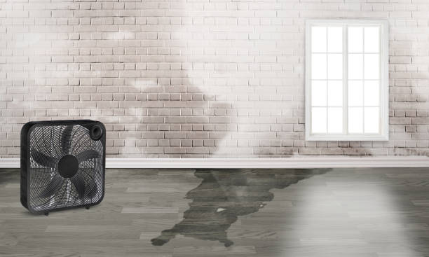 Best Flooded house restoration  in Ke Providence, LA