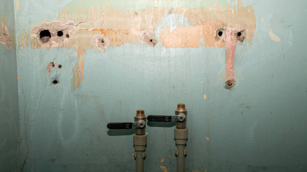 Best Water damage restoration services  in Ke Providence, LA